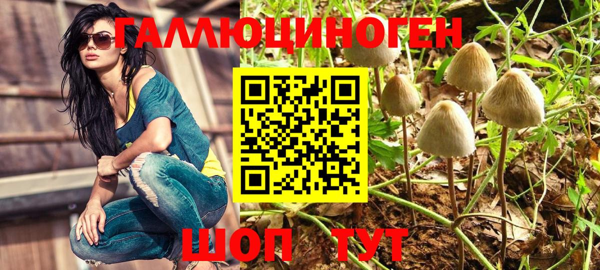 Магадан  Галлюциногенные грибы Psilocybe  Вход с VPN 